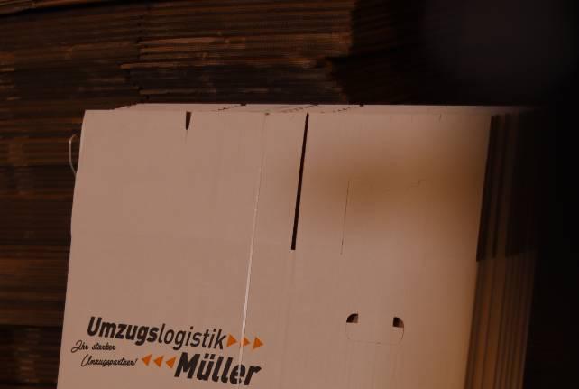 Günstiger Behördenumzug Torgau