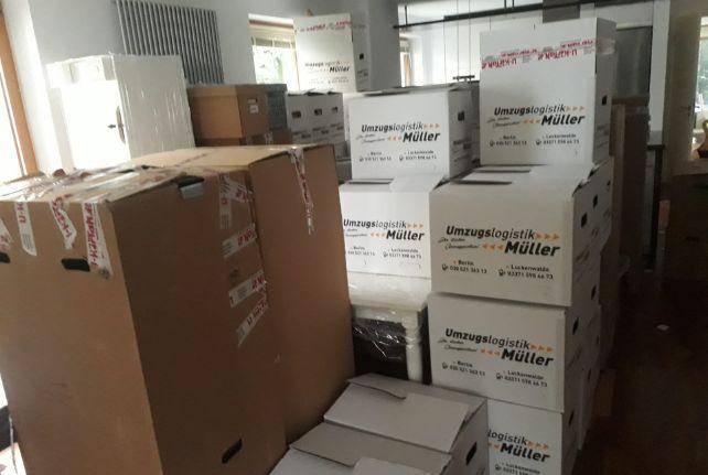 Labor Umzug preise erfahren in Torgau