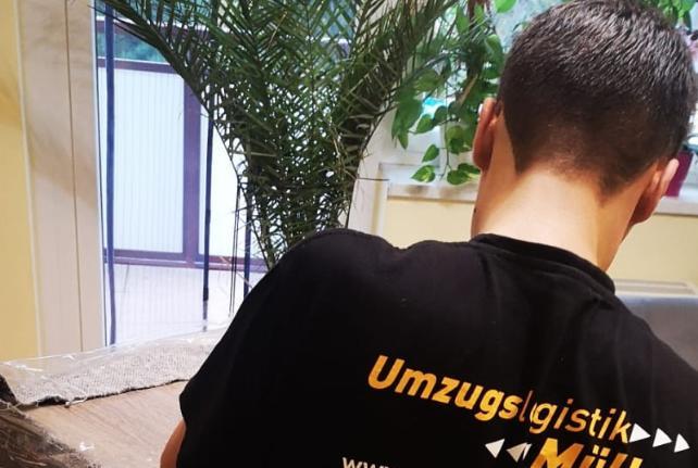 Preise für Ihren Studentenumzug in Torgau